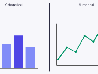 Categorical vs Numerical Data